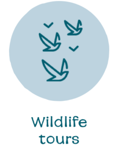 Wildlife Tours